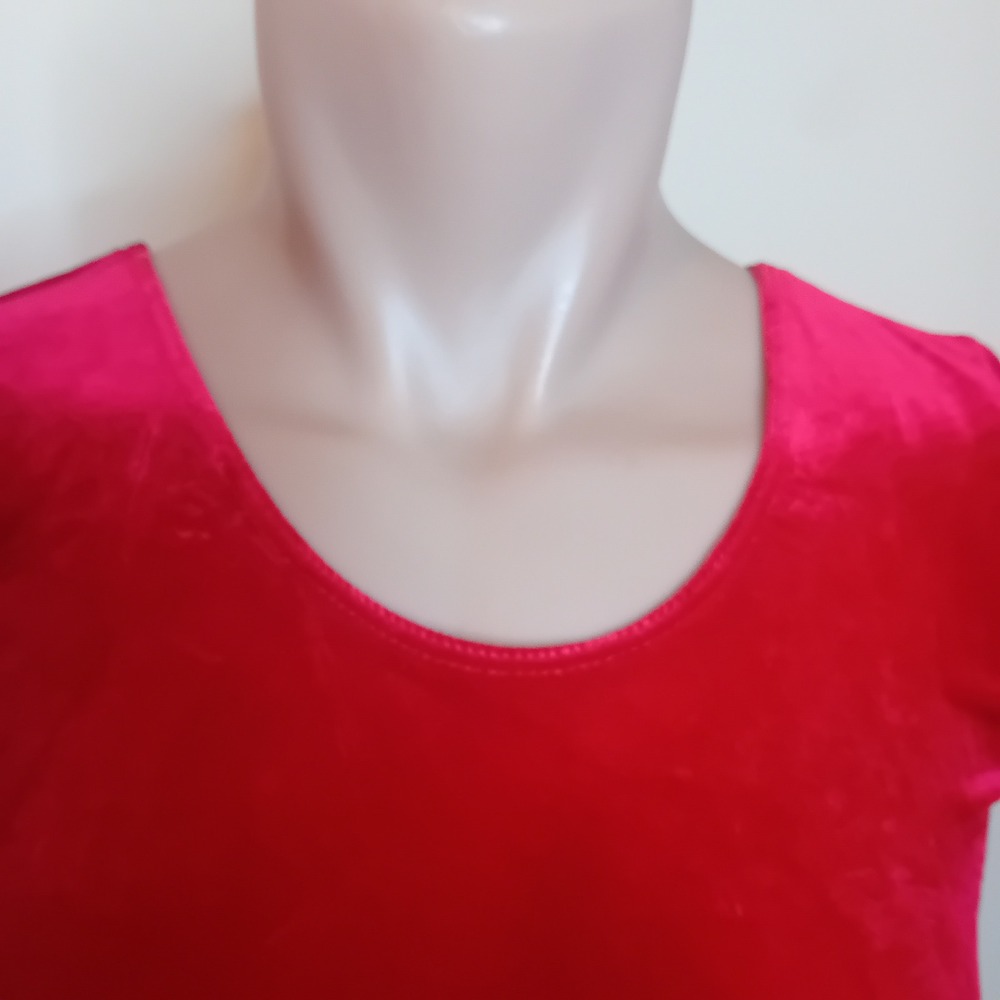 NWT Y2K American Apparel Velvet Crop Top Short Sleeve Tee Shirt Bloody Red‎ XS - Picture 8 of 16
